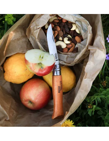 NAVAJA OPINEL Nº9 CARBONO