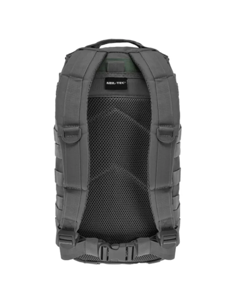 MOCHILA ASSAULT PACK SM GRIS