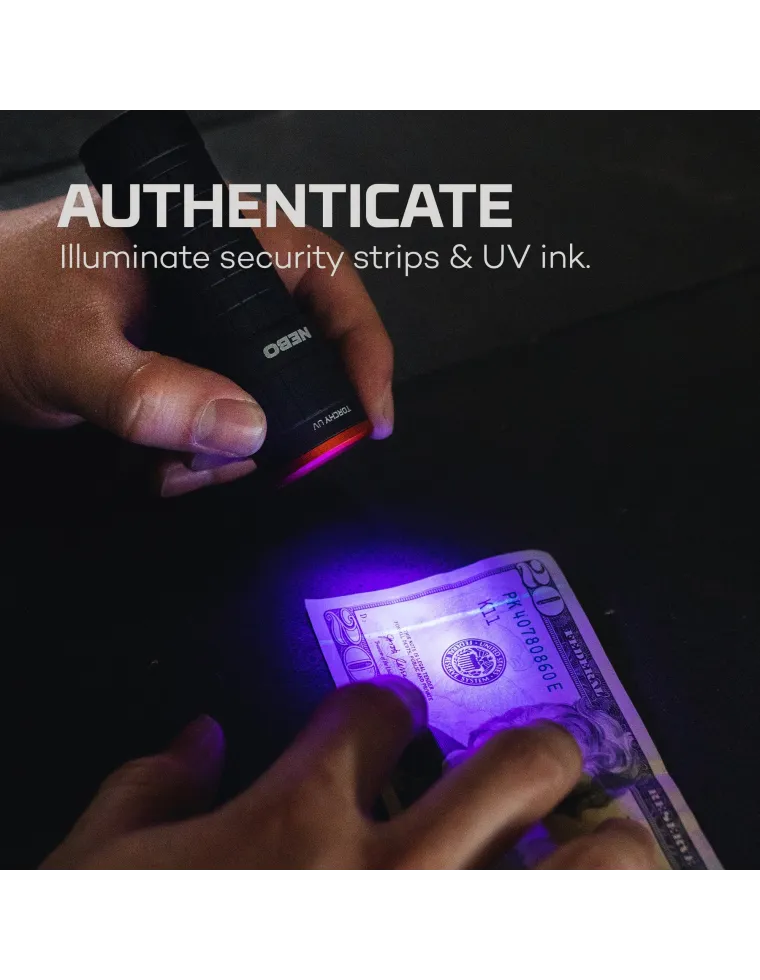 LINTERNA NEBO TORCHY UV