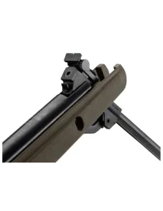 CARABINA GAMO BIG CAT 1000-E Cal.5,5mm (LC4X32WR) 2