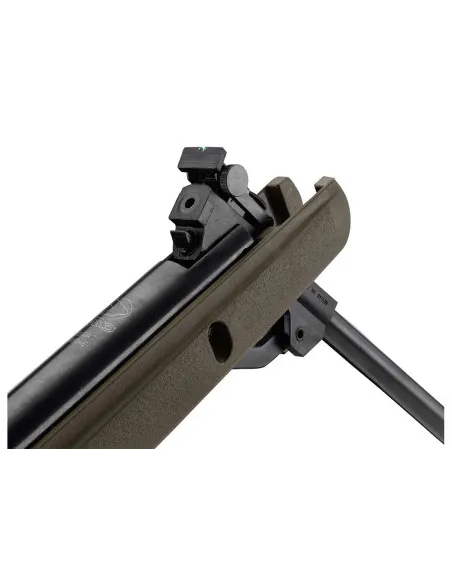 CARABINA GAMO BIG CAT 1000-E Cal.4,5mm (LC4X32WR)