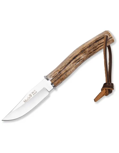 CUCHILLO MUELA BW-6A ASTA CIERVO