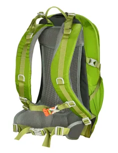 MOCHILA ALPINA FUSION 20 VERDE 2