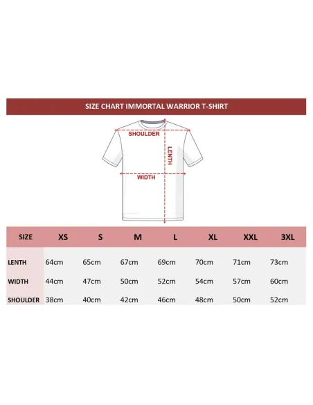 CAMISETA IW TACTICAL TEDDY NEGRA