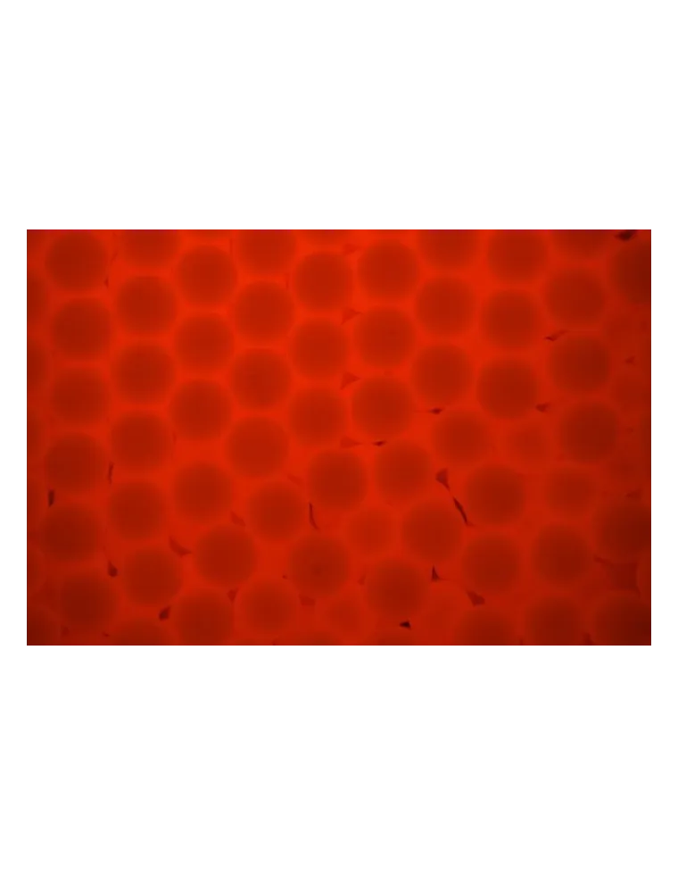 BOLAS TRACER G&G 0,20g 2700bb ROJAS